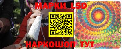 spice Партизанск